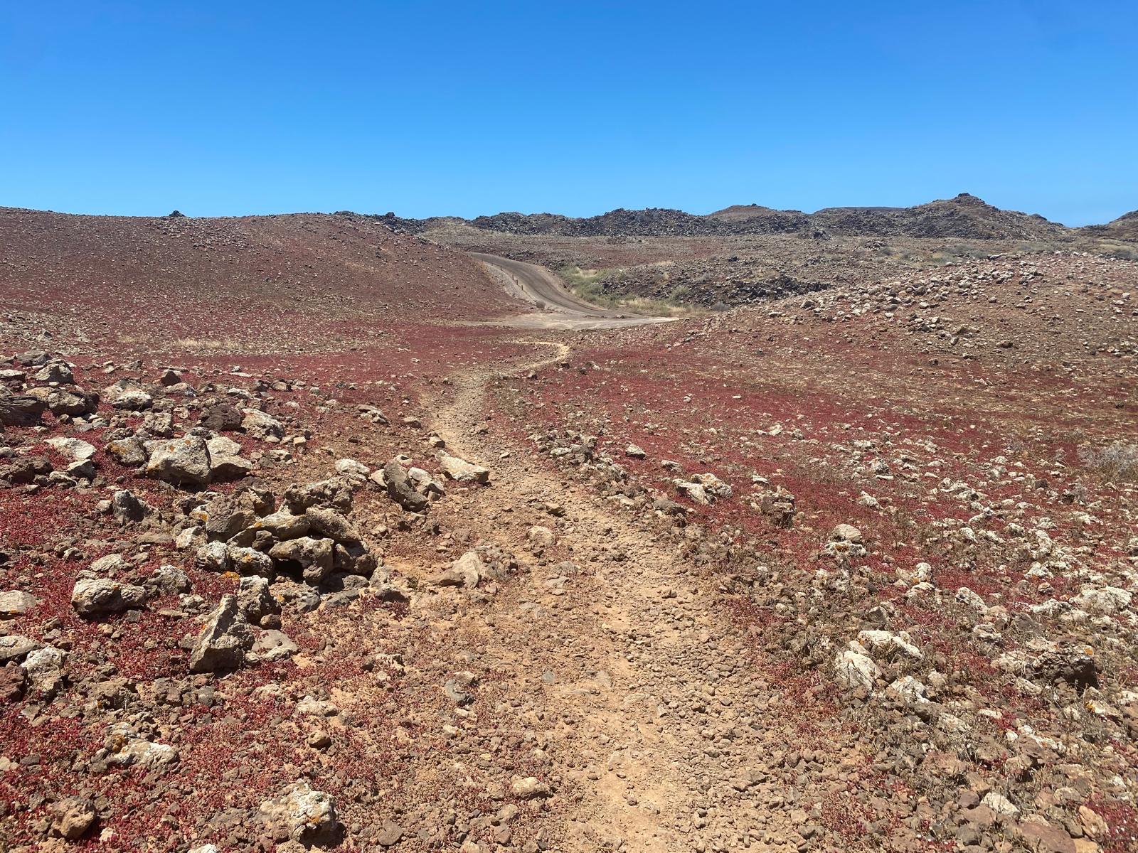 Landschaft auf Fuerteventura — karger Weg zwischen vulkanischen Hügeln