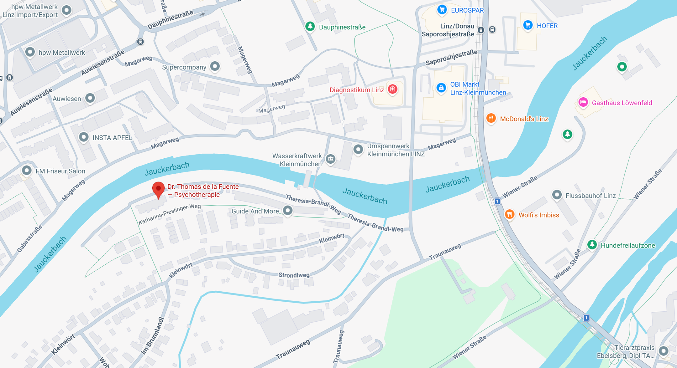 Map showing the practice location on Theresia-Brandl-Weg 19, Linz